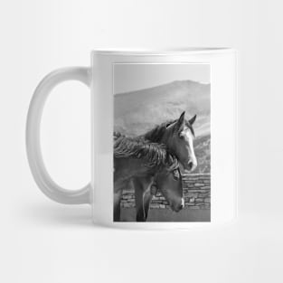 A couple of horses Mug